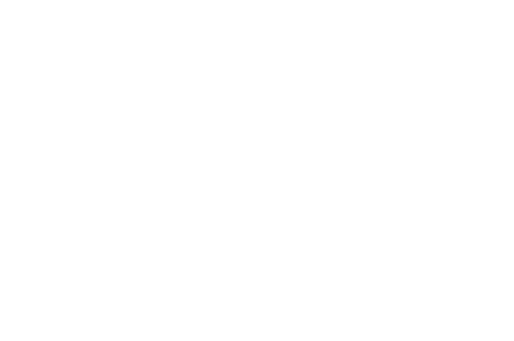 Andes Ticket